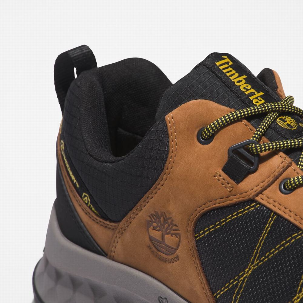 Timberland Trailquest Waterproof Yürüyüş Ayakkabısı Erkek Sarı Siyah | TR-3957M