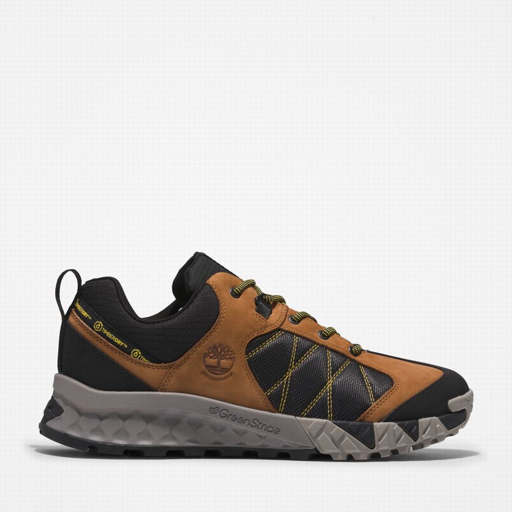 Timberland Trailquest Waterproof Yürüyüş Ayakkabısı Erkek Sarı Siyah | TR-3957M
