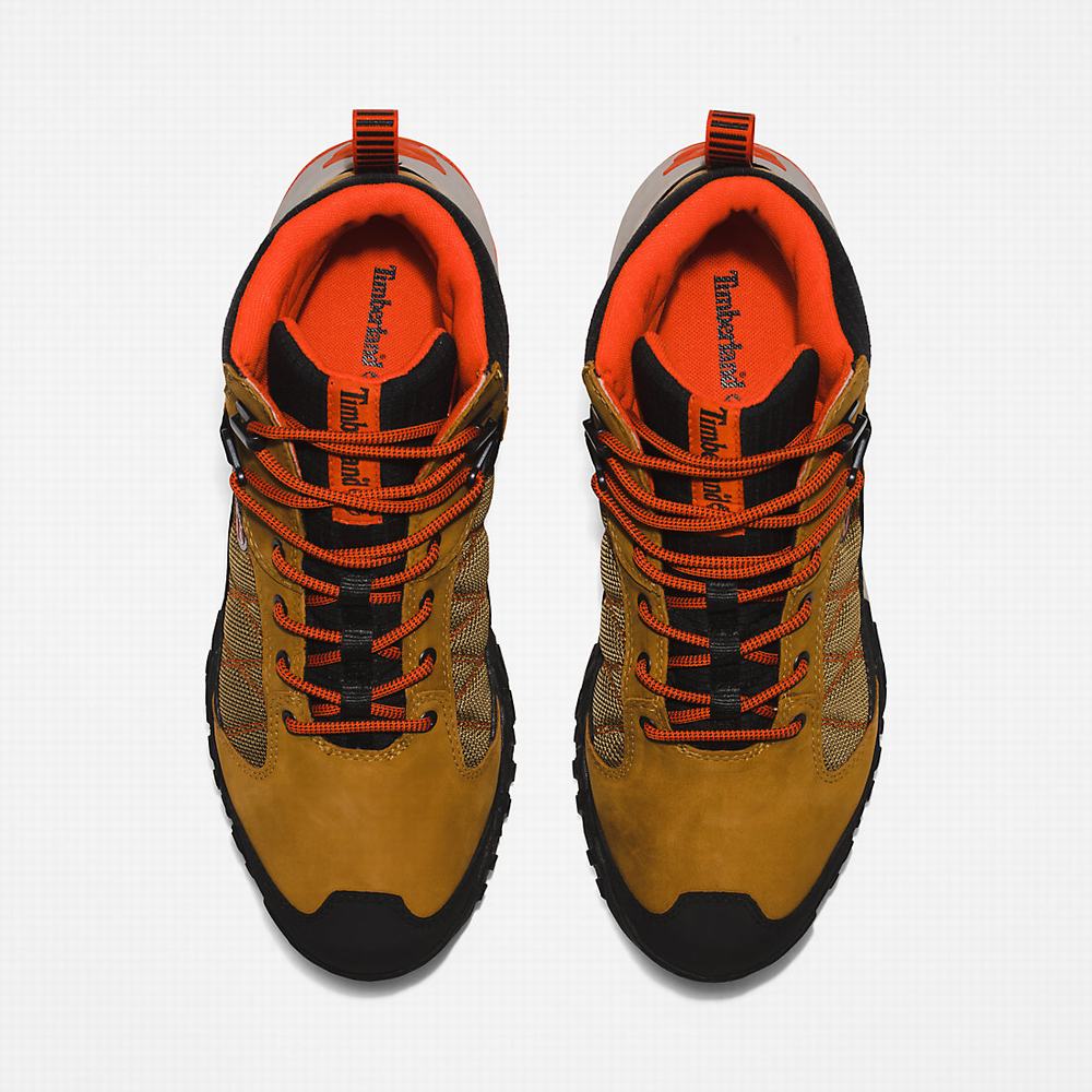 Timberland Trailquest Waterproof Yürüyüş Botu Erkek Kahverengi | TR-7601L