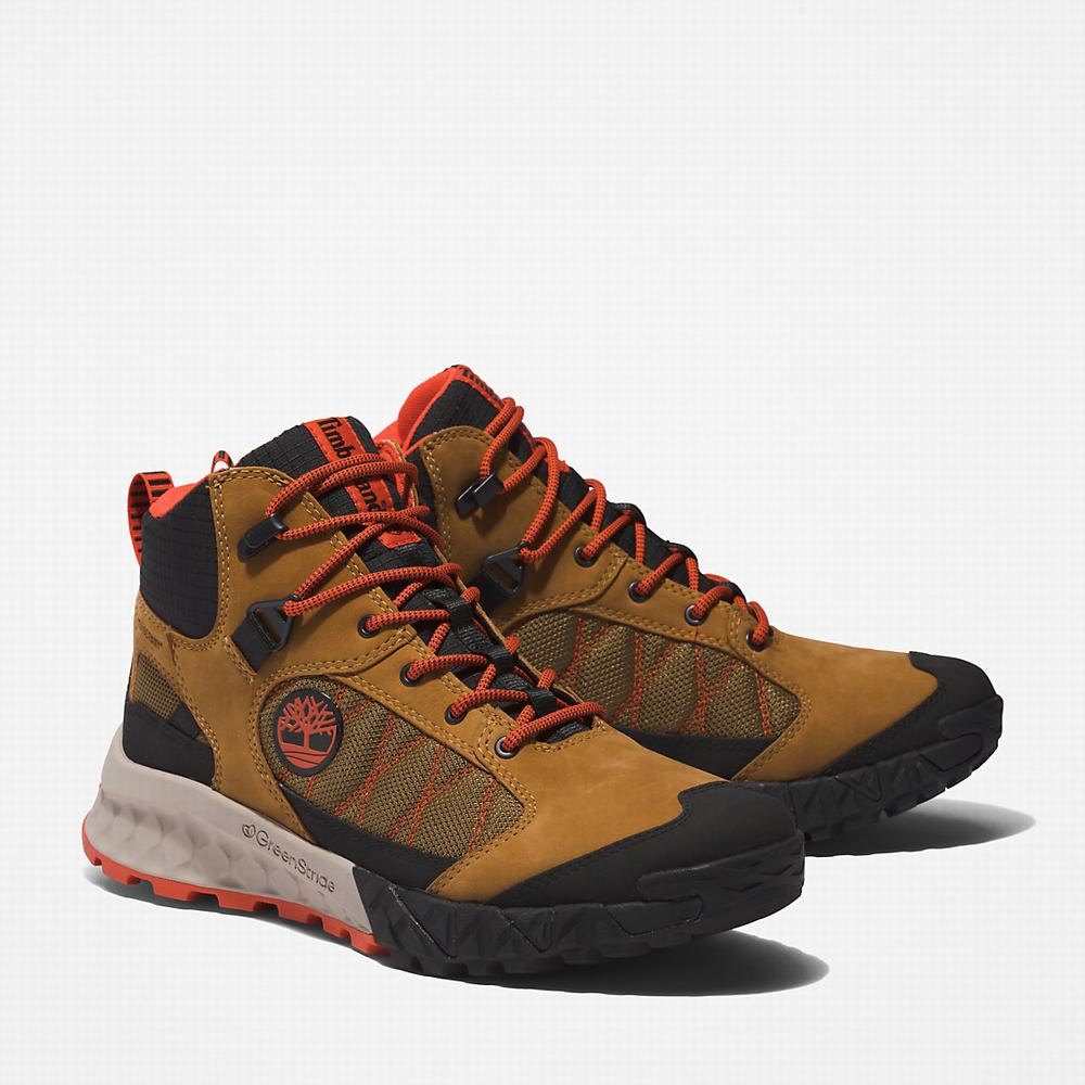 Timberland Trailquest Waterproof Yürüyüş Botu Erkek Kahverengi | TR-7601L
