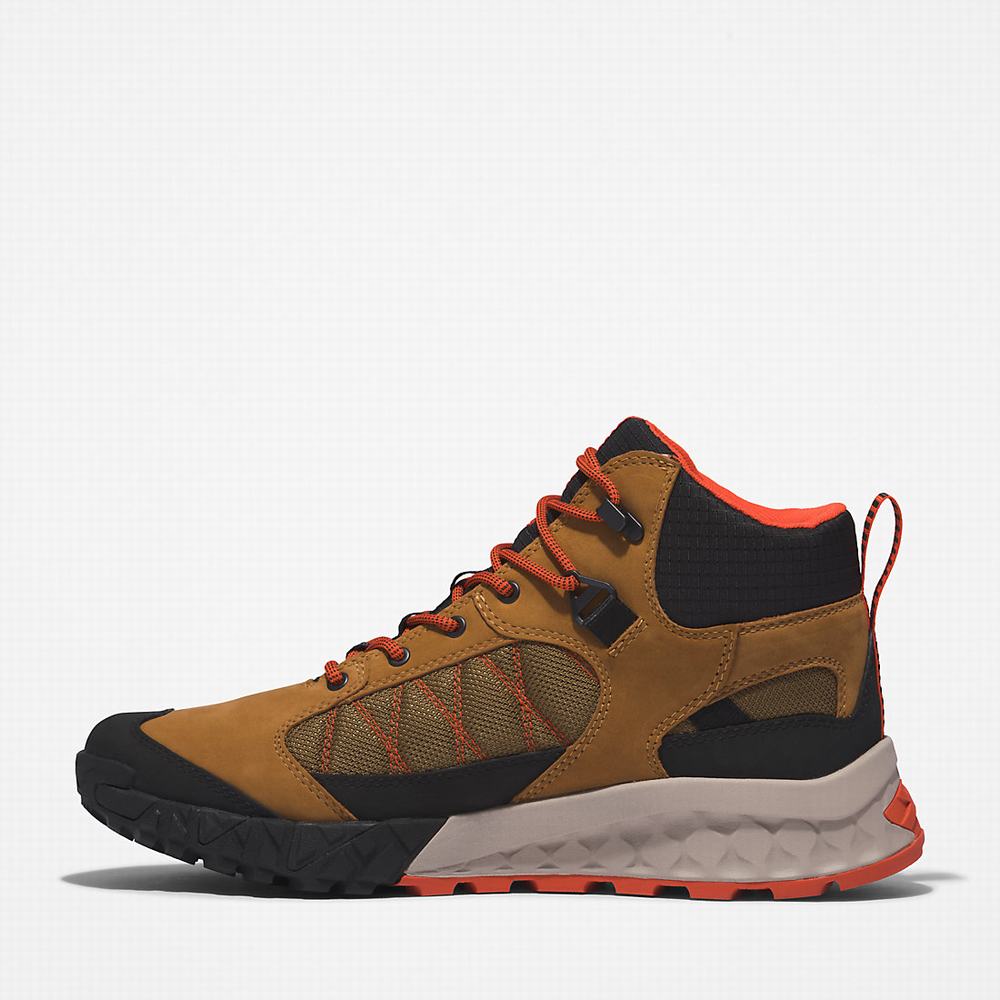 Timberland Trailquest Waterproof Yürüyüş Botu Erkek Kahverengi | TR-7601L