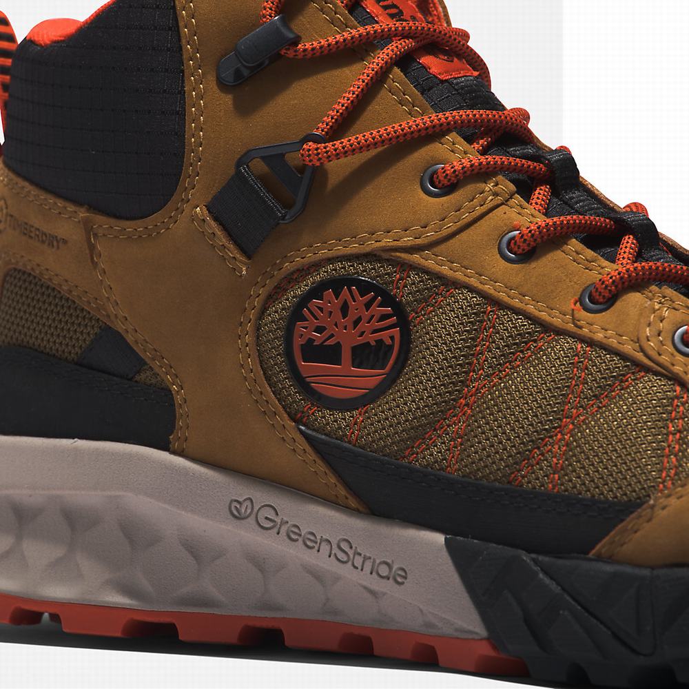 Timberland Trailquest Waterproof Yürüyüş Botu Erkek Kahverengi | TR-7601L