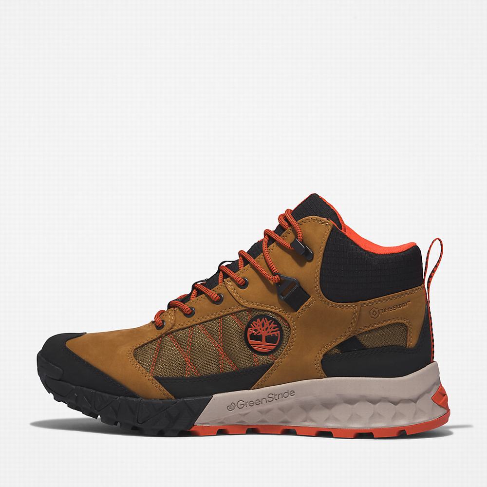 Timberland Trailquest Waterproof Yürüyüş Botu Erkek Kahverengi | TR-7601L