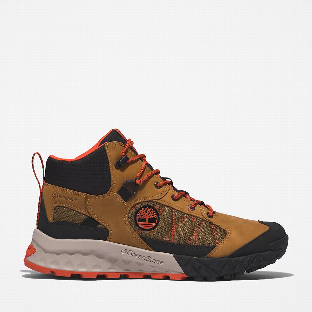 Timberland Trailquest Waterproof Yürüyüş Botu Erkek Kahverengi | TR-7601L