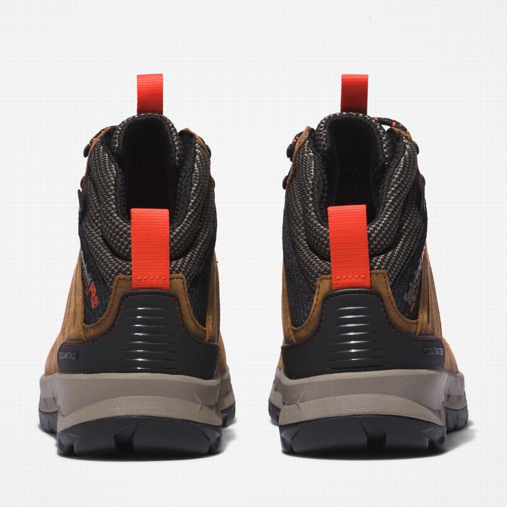 Timberland Trailwind Waterproof Comp-Burunlu Iş Botu Erkek Kahverengi Kırmızı | TR-0318K