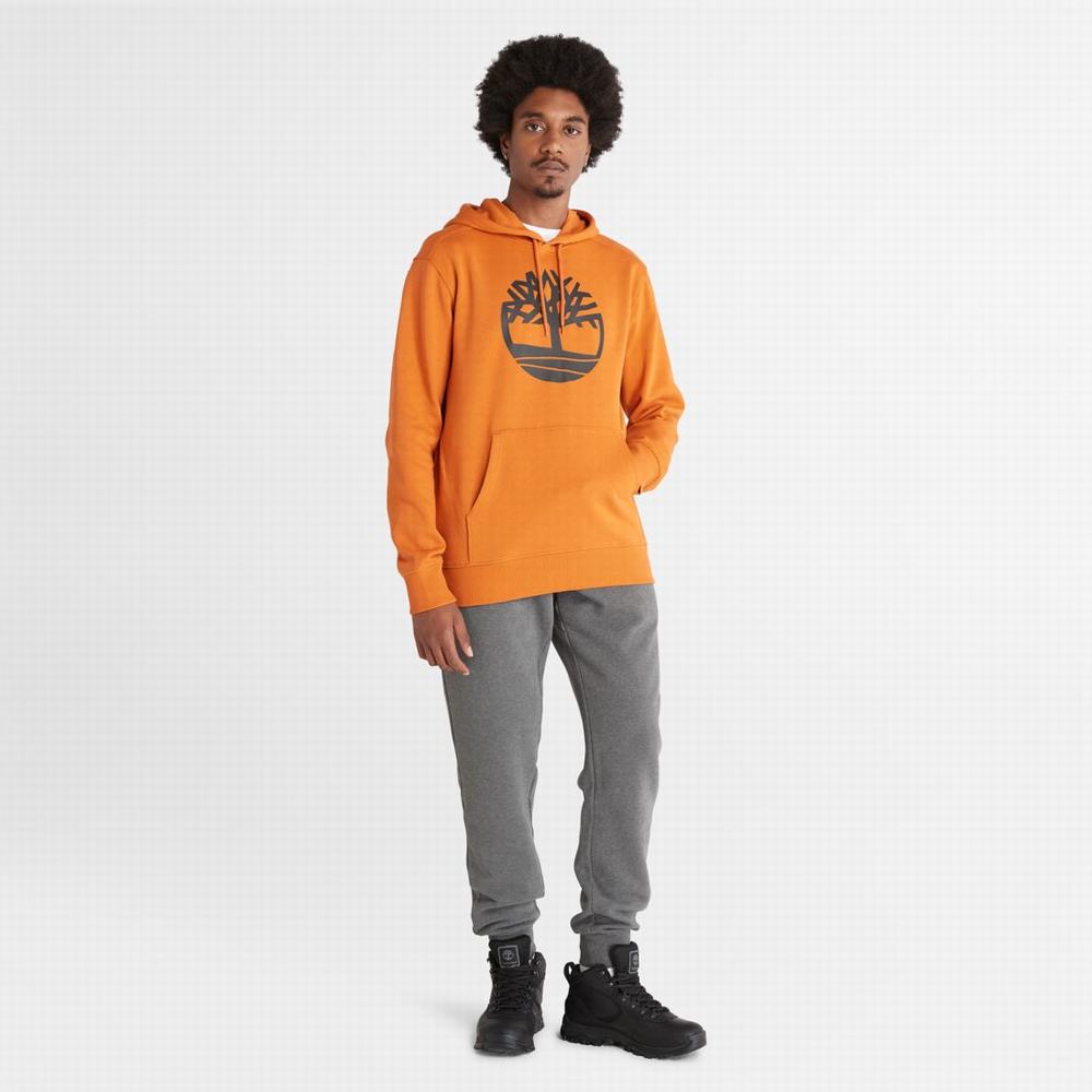 Timberland Tree-Logo Kapüşonlu Sweatshirt Erkek Turuncu | TR-4739C