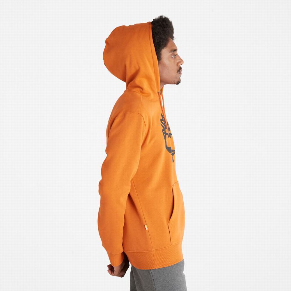Timberland Tree-Logo Kapüşonlu Sweatshirt Erkek Turuncu | TR-4739C
