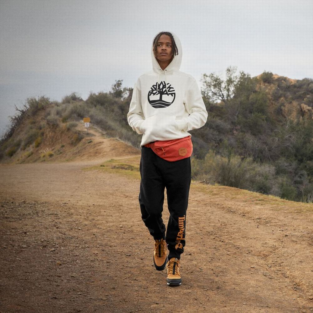 Timberland Tree-Logo Kapüşonlu Sweatshirt Erkek Beyaz | TR-9680J