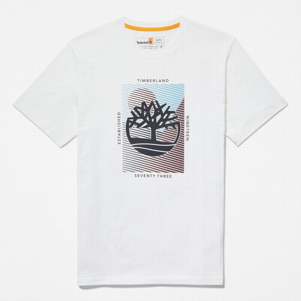 Timberland Tree-Logo Tişört Erkek Beyaz | TR-3128S