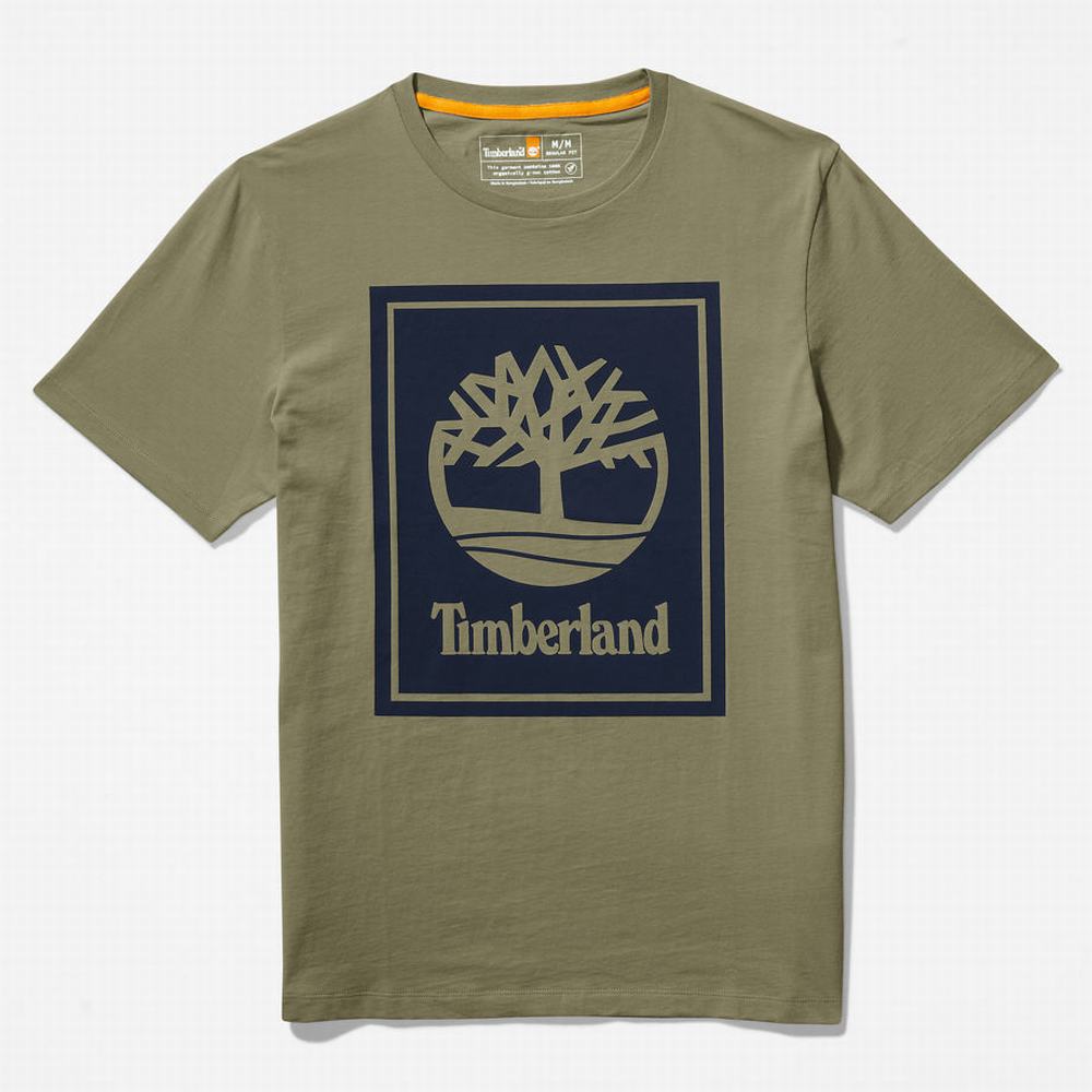 Timberland Tree Logo Tişört Erkek Gri | TR-0651U