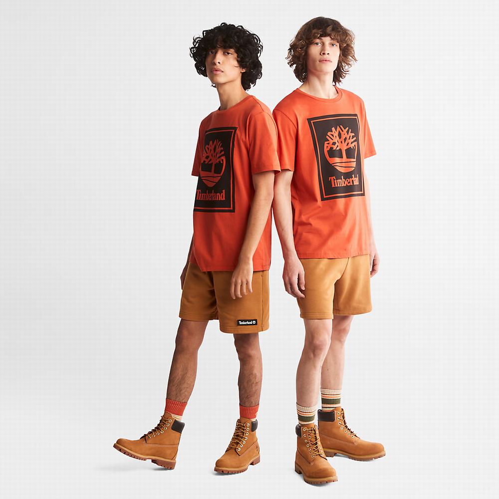 Timberland Tree Logo Tişört Erkek Turuncu | TR-4681D