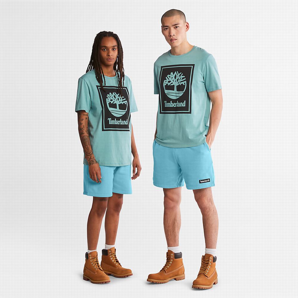 Timberland Tree Logo Tişört Kadın Açık Mavi | TR-8072X