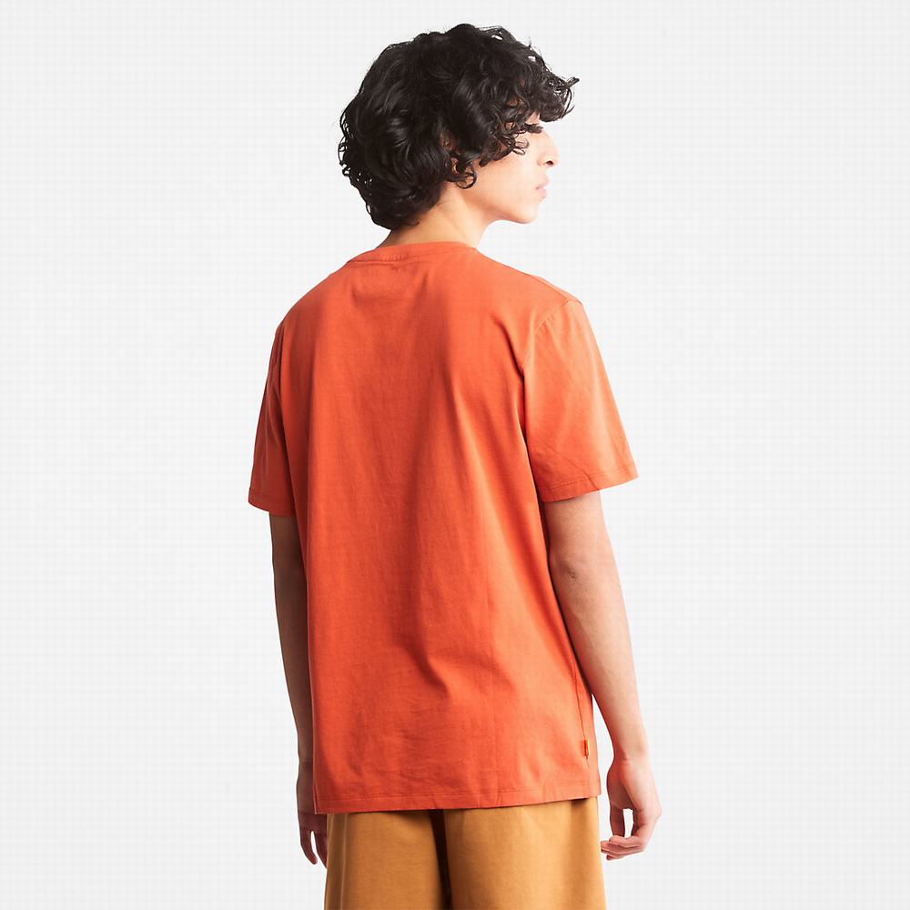 Timberland Tree Logo Tişört Kadın Turuncu | TR-5689Z