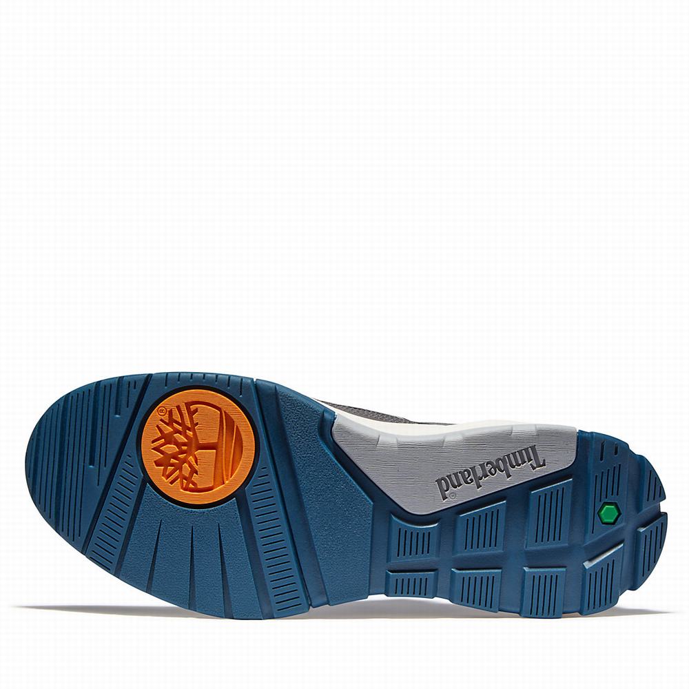 Timberland Tree Racer Leather Spor Ayakkabı Erkek Gri | TR-5418K