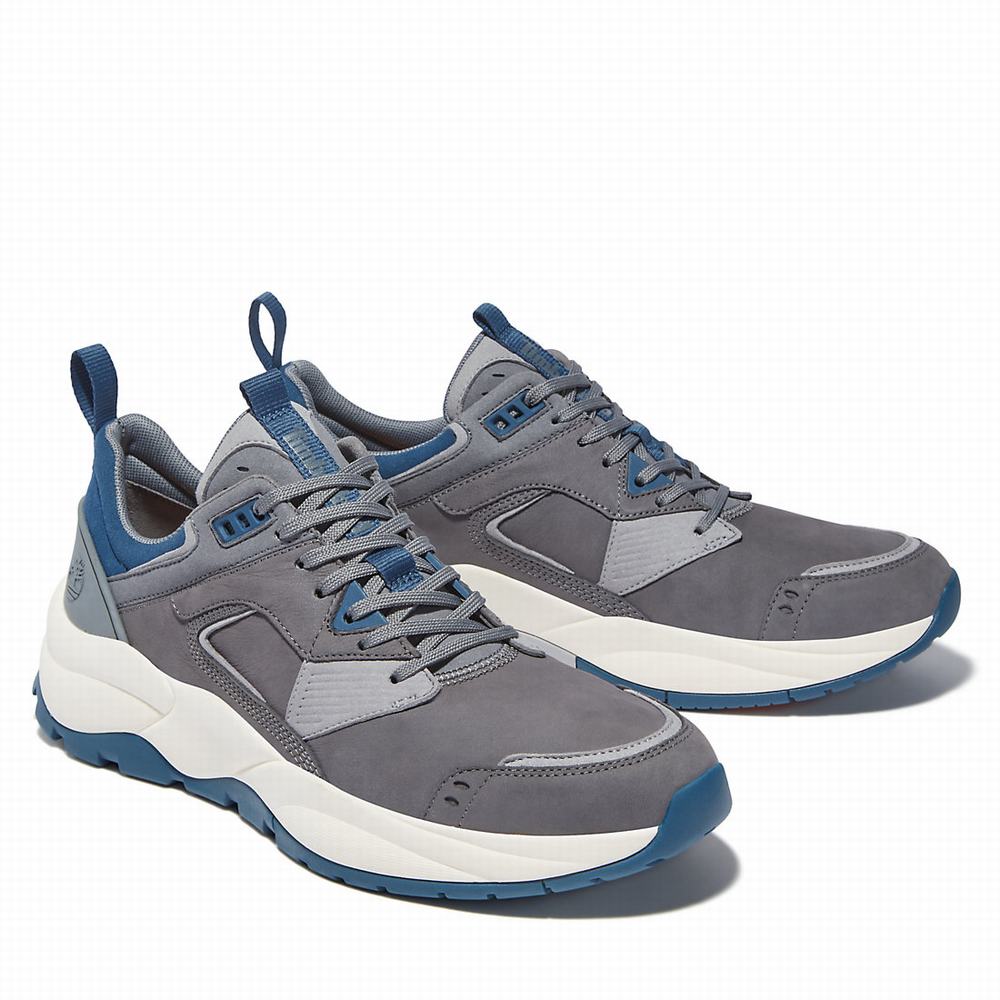 Timberland Tree Racer Leather Spor Ayakkabı Erkek Gri | TR-5418K