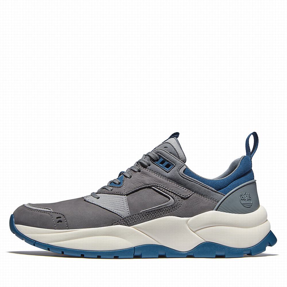 Timberland Tree Racer Leather Spor Ayakkabı Erkek Gri | TR-5418K