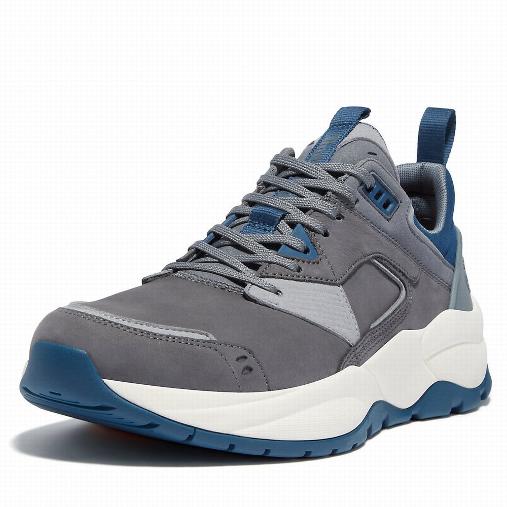 Timberland Tree Racer Leather Spor Ayakkabı Erkek Gri | TR-5418K