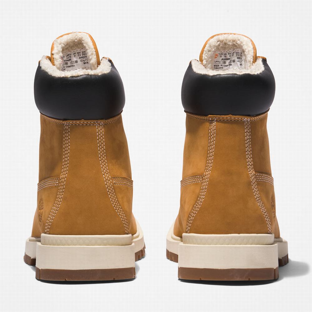 Timberland Tree Vault 6 Inch Bot Erkek Sarı | TR-0436M