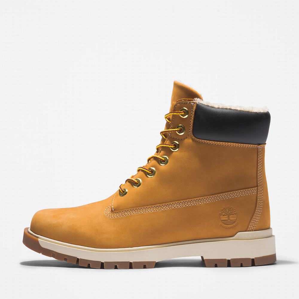 Timberland Tree Vault 6 Inch Bot Erkek Sarı | TR-0436M