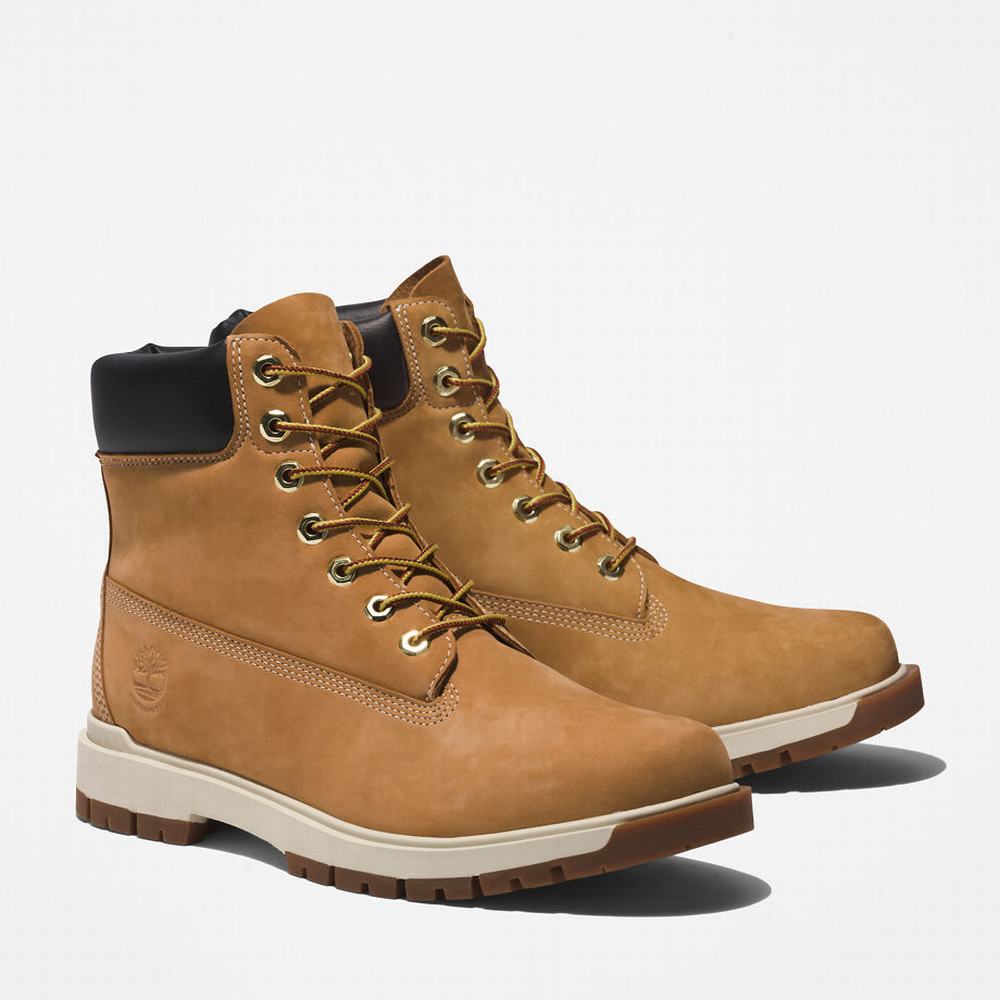 Timberland Tree Vault 6 Inch Bot Erkek Sarı | TR-3485B