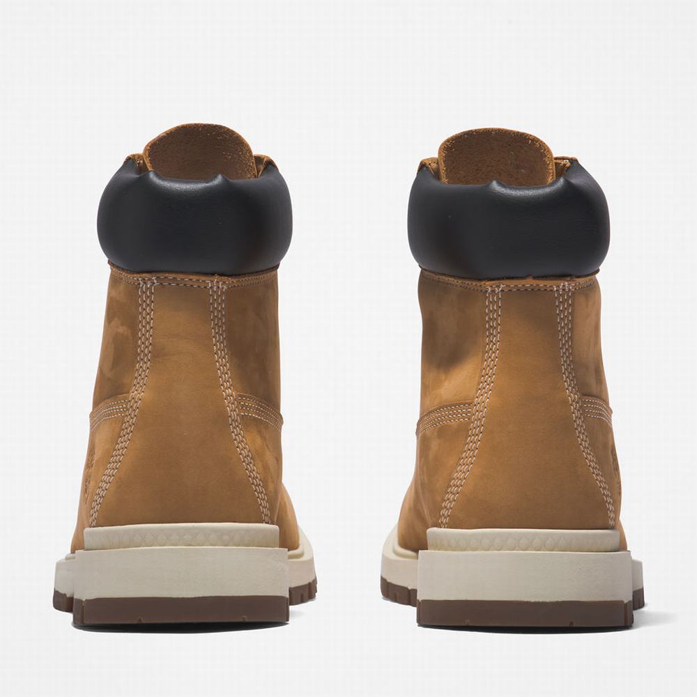 Timberland Tree Vault 6 Inch Bot Erkek Sarı | TR-3485B