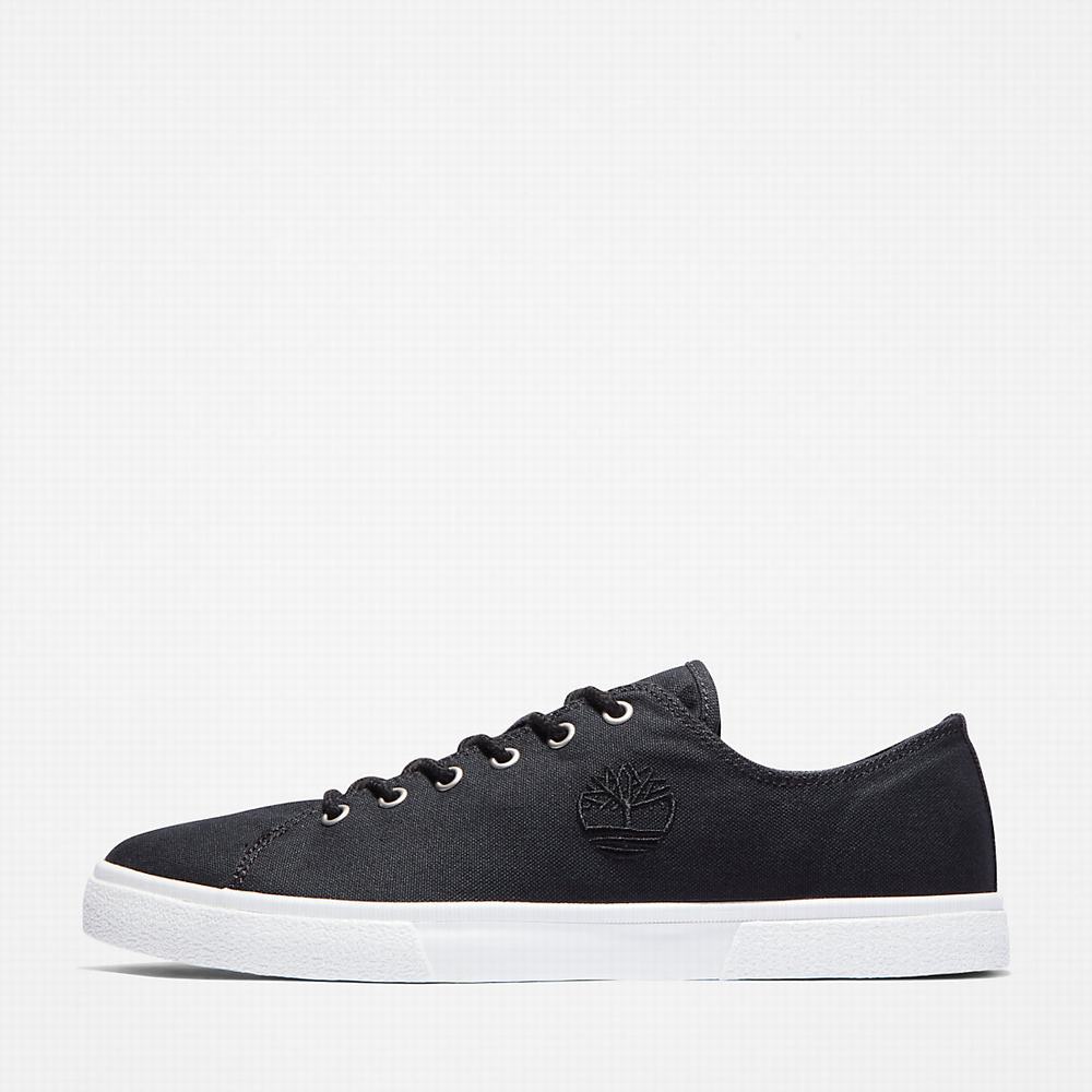 Timberland Union Wharf 2.0 EK+ Spor Ayakkabı Erkek Siyah | TR-1270G