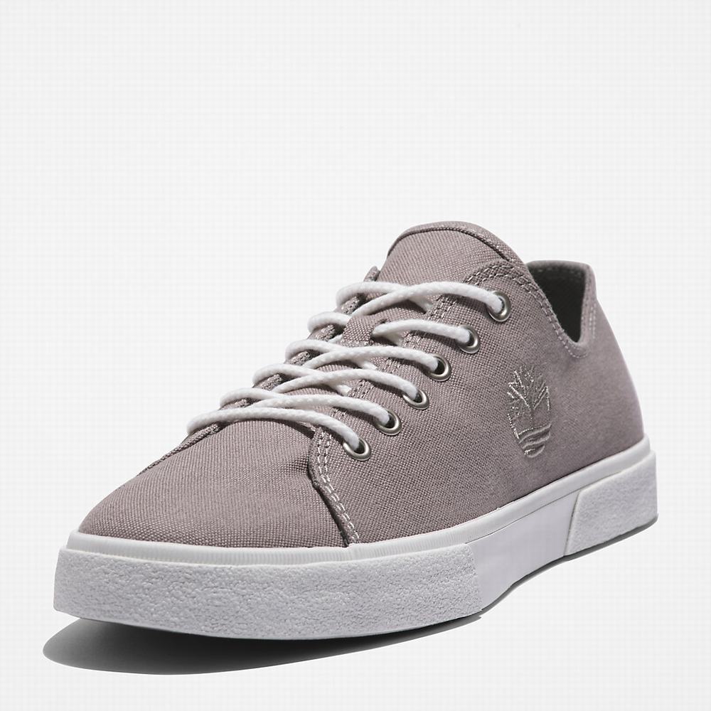 Timberland Union Wharf 2.0 EK+ Spor Ayakkabı Erkek Gri | TR-5627L