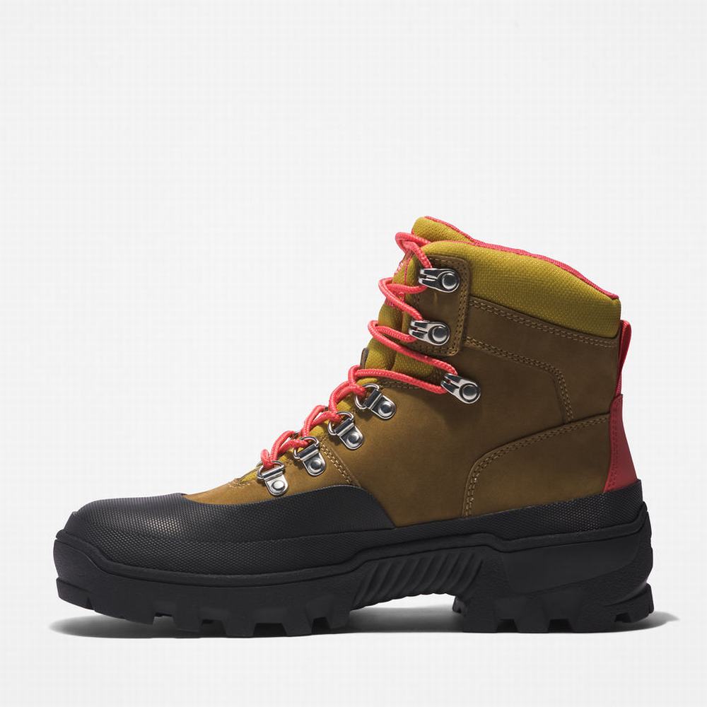 Timberland Vibram® Waterproof Yürüyüş Botu Kadın Açık Kahverengi | TR-7845B