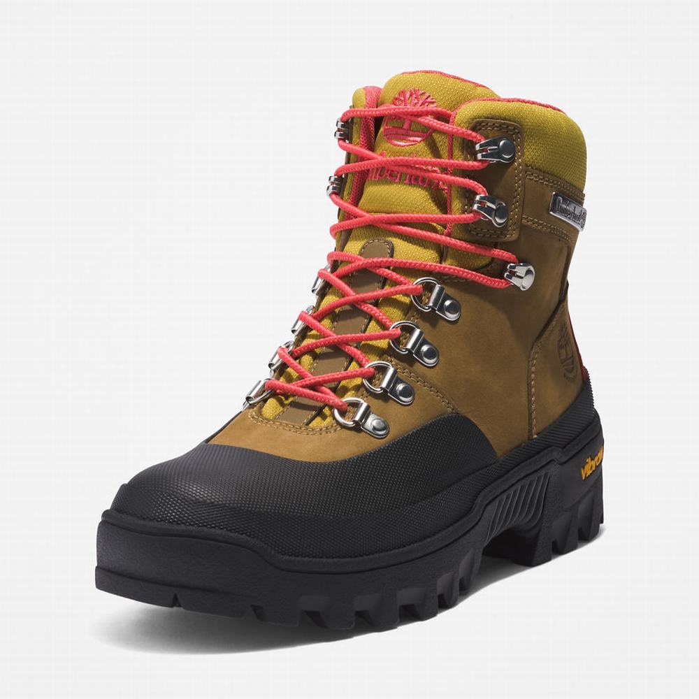 Timberland Vibram® Waterproof Yürüyüş Botu Kadın Açık Kahverengi | TR-7845B
