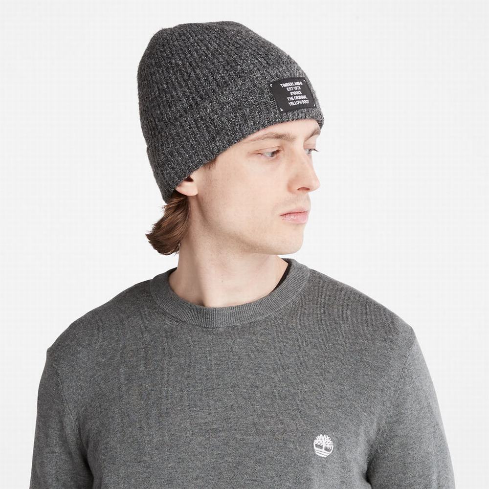 Timberland Warm Crew Süveter Erkek Gri | TR-6853R