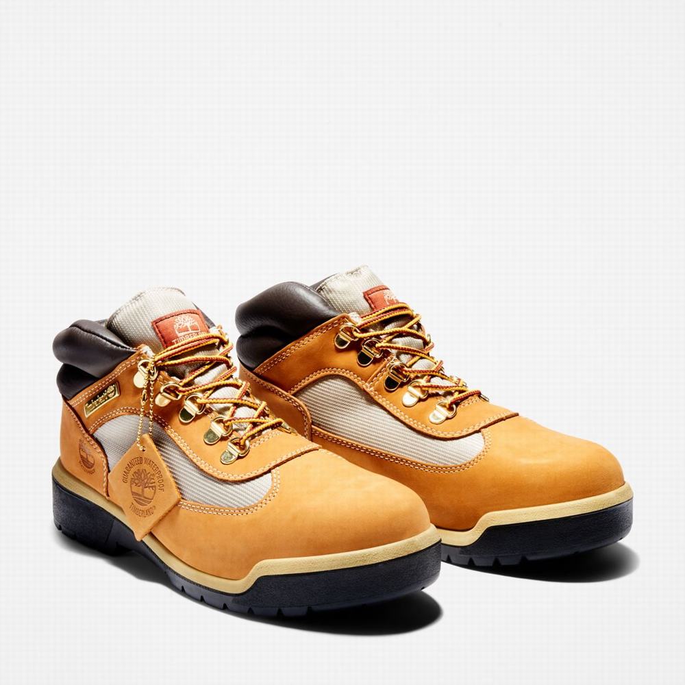 Timberland Waterproof Field Bot Erkek Kahverengi | TR-4917Z