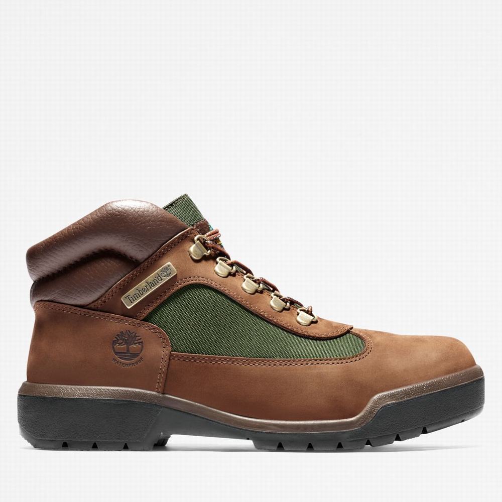Timberland Waterproof Field Bot Erkek Koyu Kahverengi | TR-6209L