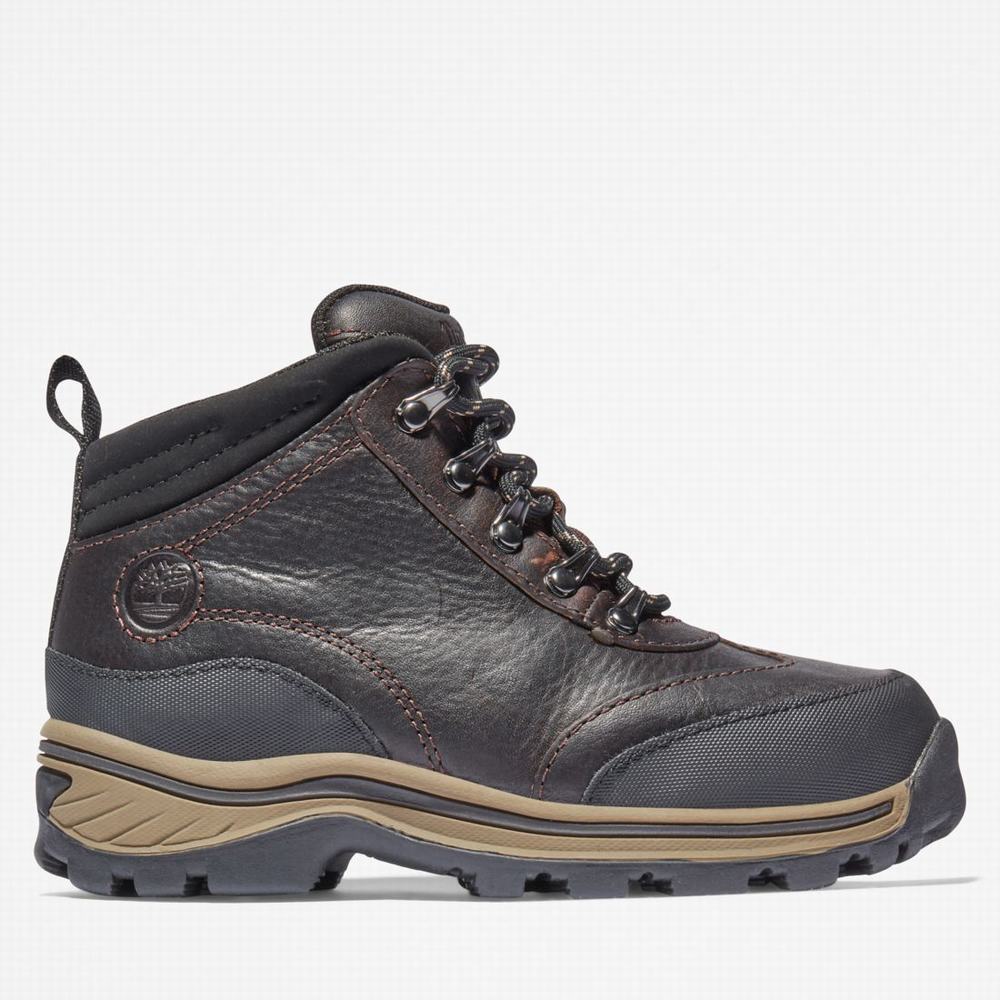 Timberland Waterproof Yürüyüş Botu Çocuk Kahverengi | TR-0637N
