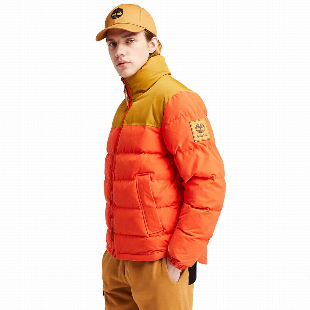 Timberland Welch Mountain Puffer Ceket Erkek Turuncu | TR-7103J