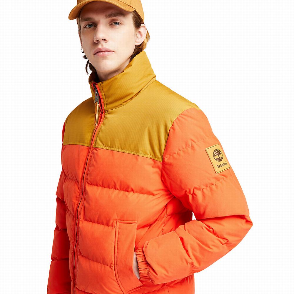 Timberland Welch Mountain Puffer Ceket Erkek Turuncu | TR-7103J