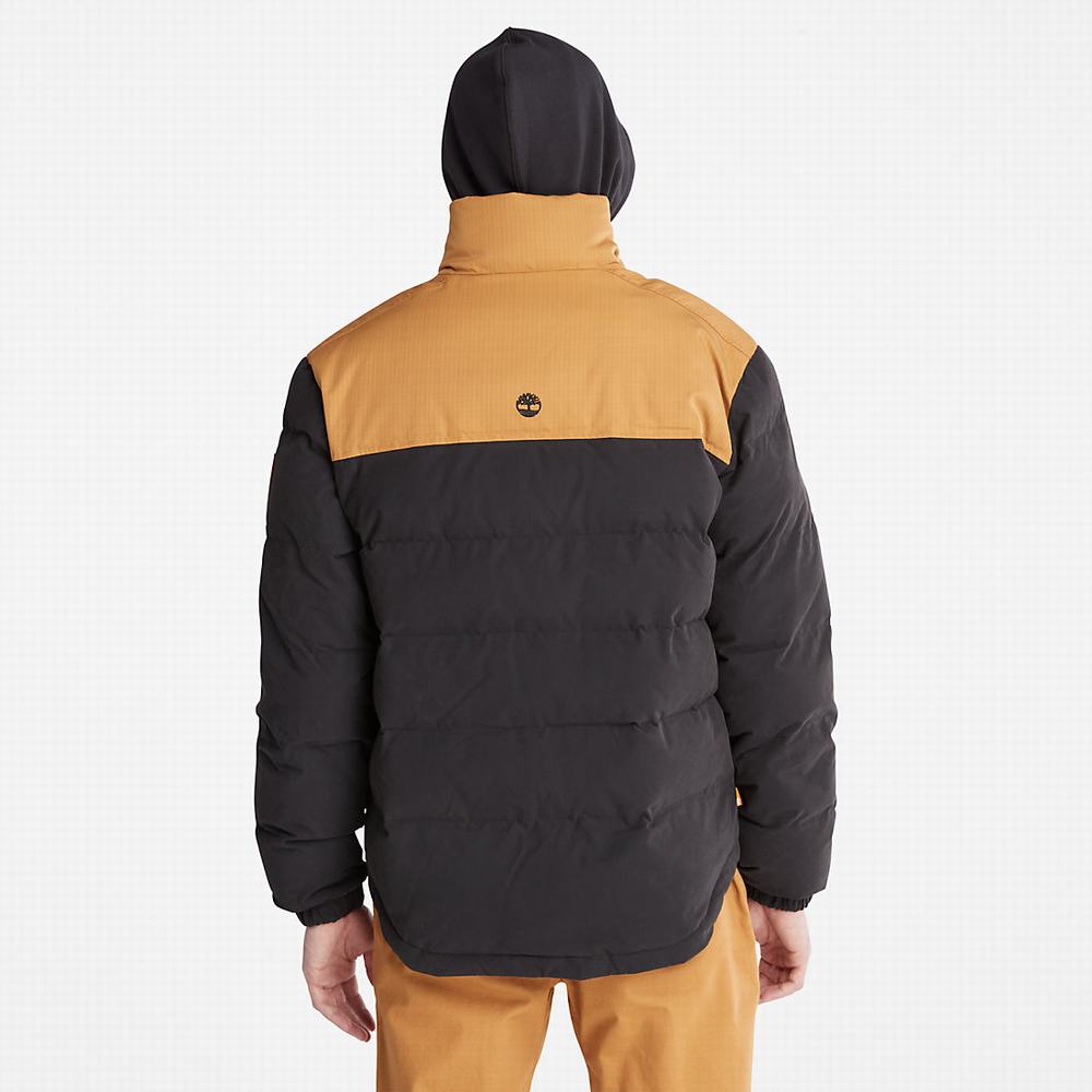 Timberland Welch Mountain Puffer Ceket Erkek Siyah | TR-8432U