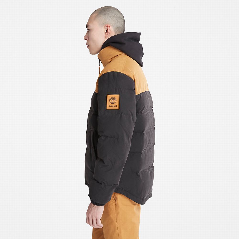 Timberland Welch Mountain Puffer Ceket Erkek Siyah | TR-8432U