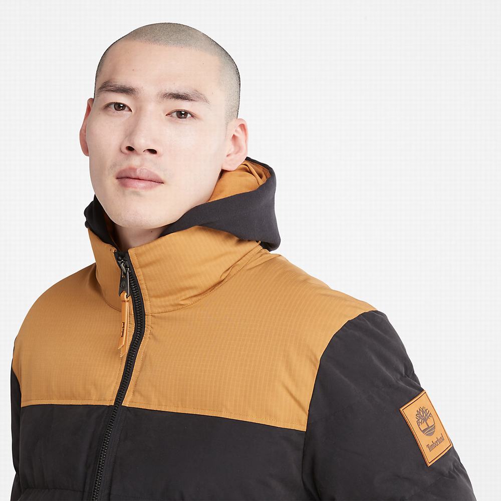 Timberland Welch Mountain Puffer Ceket Erkek Siyah | TR-8432U