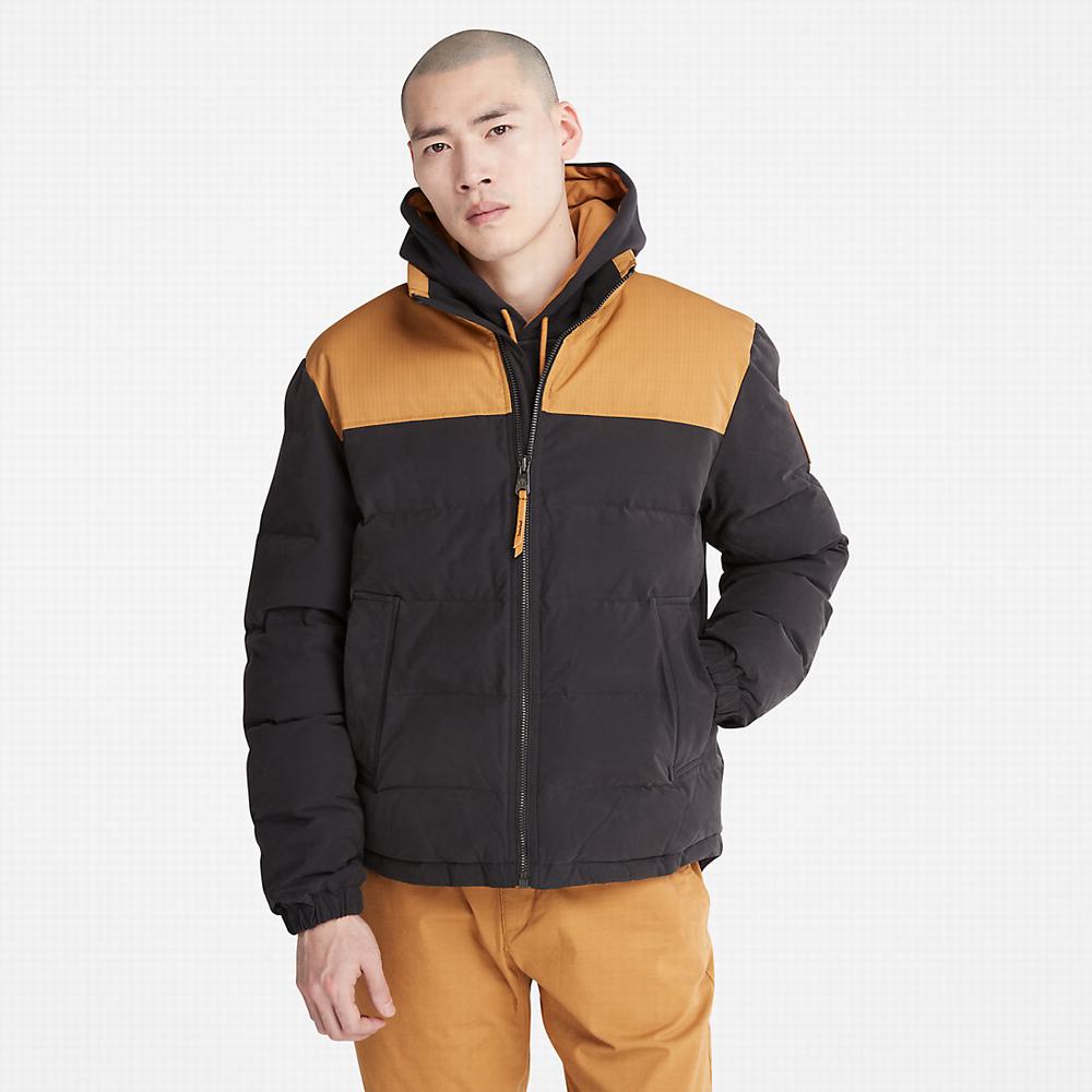Timberland Welch Mountain Puffer Ceket Erkek Siyah | TR-8432U