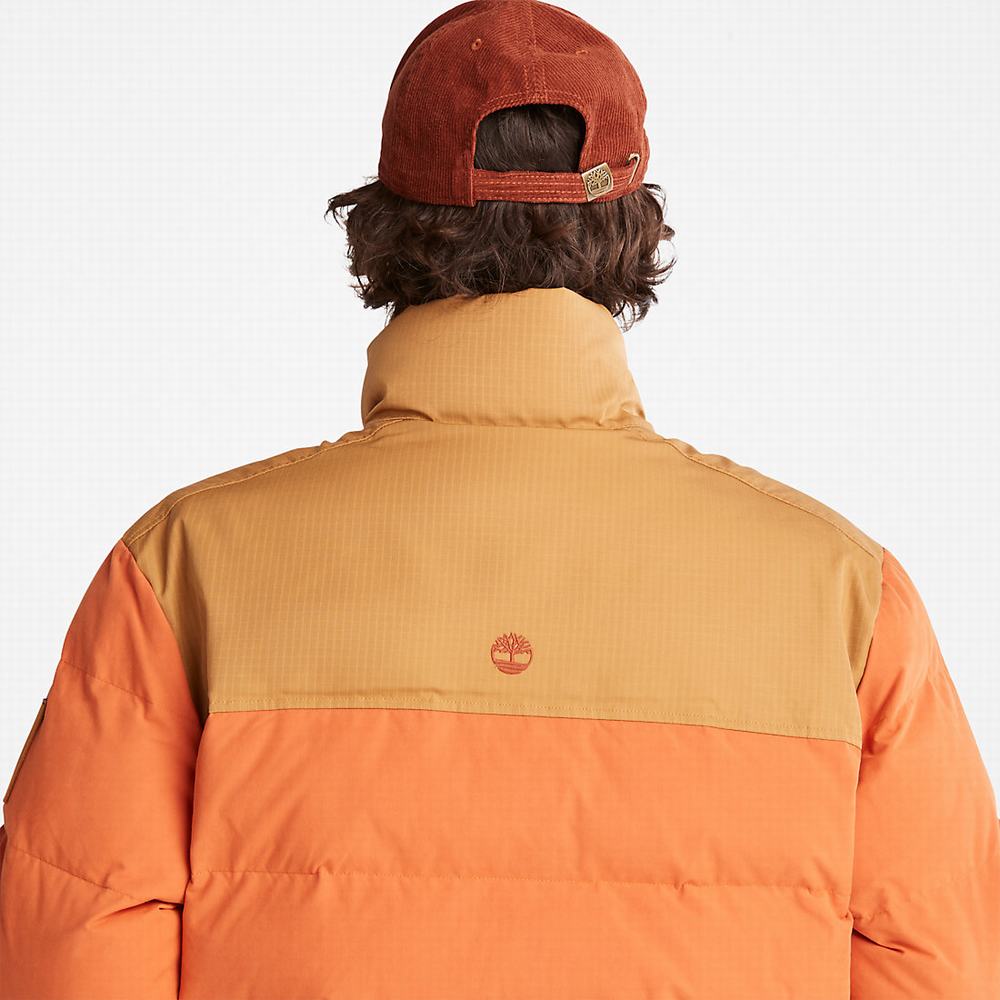 Timberland Welch Mountain Puffer Ceket Erkek Açık Kahverengi | TR-9726P