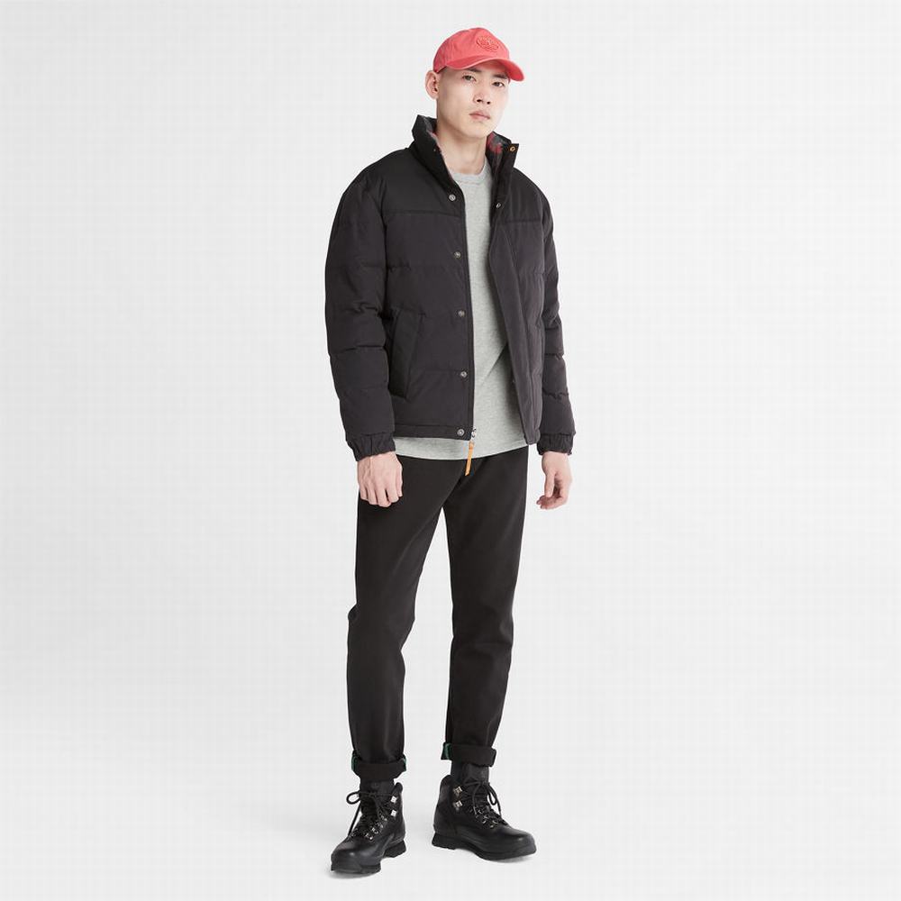 Timberland Welch Mountain Reversible Puffer Ceket Erkek Siyah | TR-6312Q