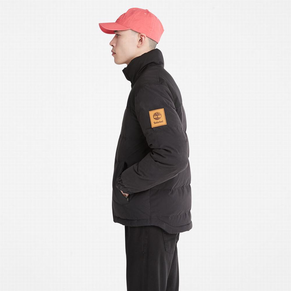 Timberland Welch Mountain Reversible Puffer Ceket Erkek Siyah | TR-6312Q