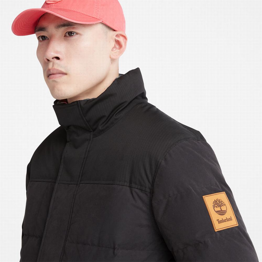 Timberland Welch Mountain Reversible Puffer Ceket Erkek Siyah | TR-6312Q