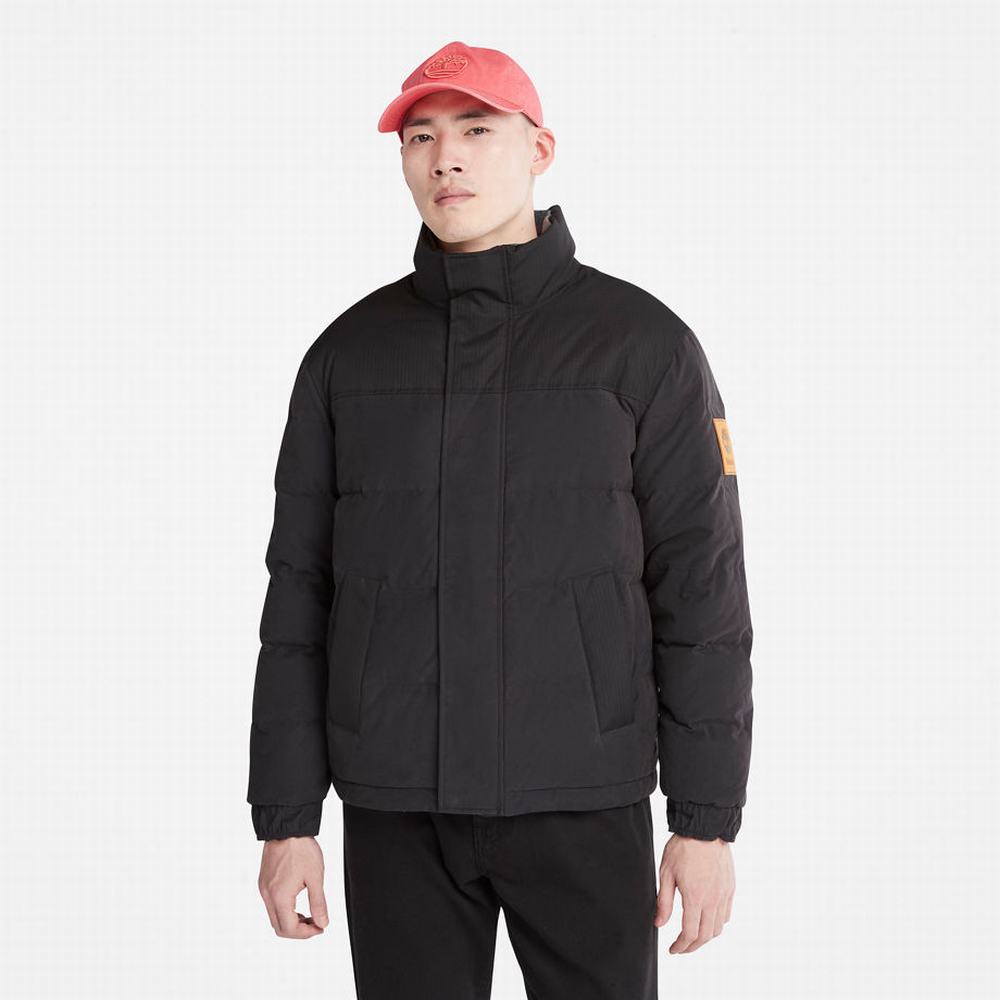 Timberland Welch Mountain Reversible Puffer Ceket Erkek Siyah | TR-6312Q