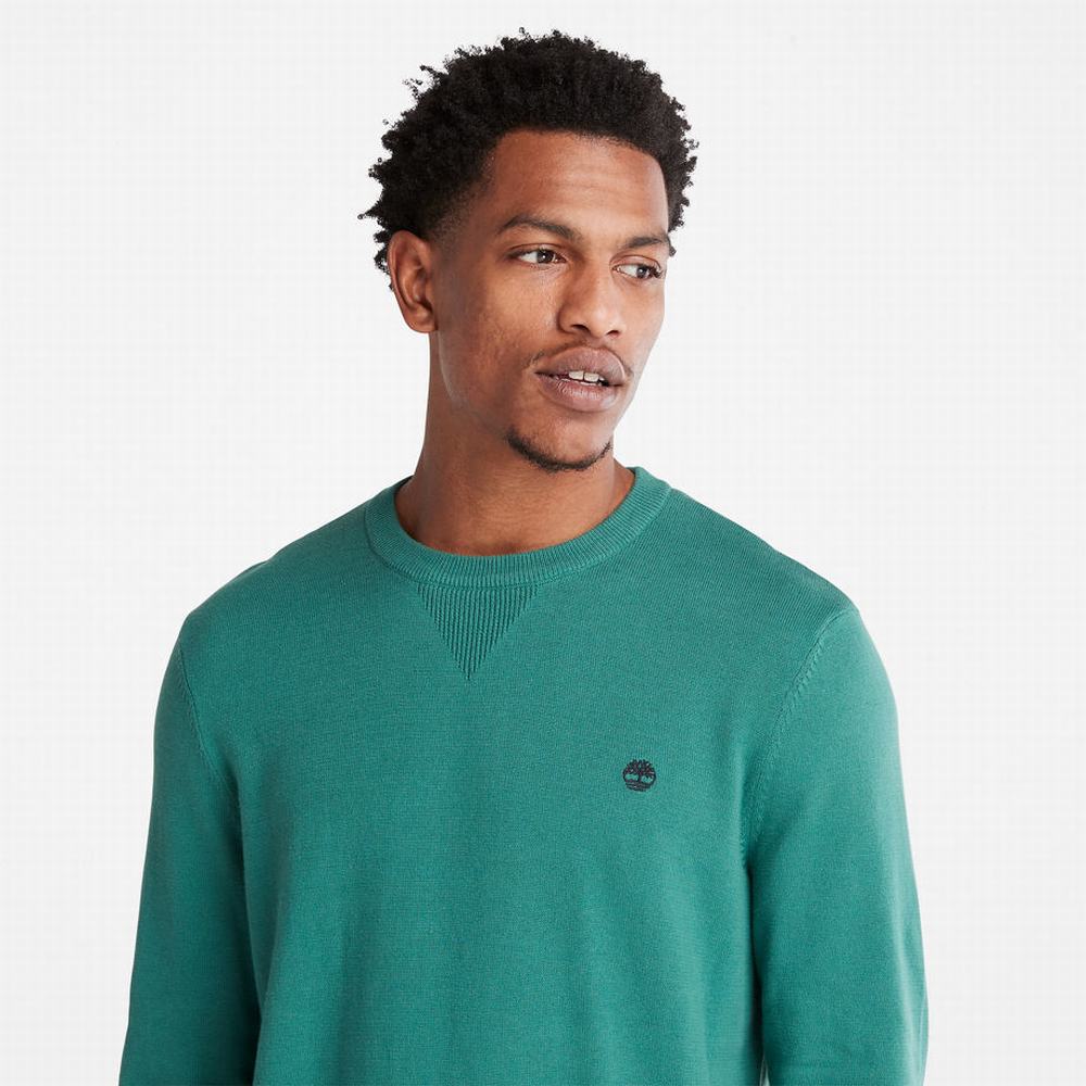 Timberland Williams River Crewneck Süveter Erkek Yeşil | TR-3182A