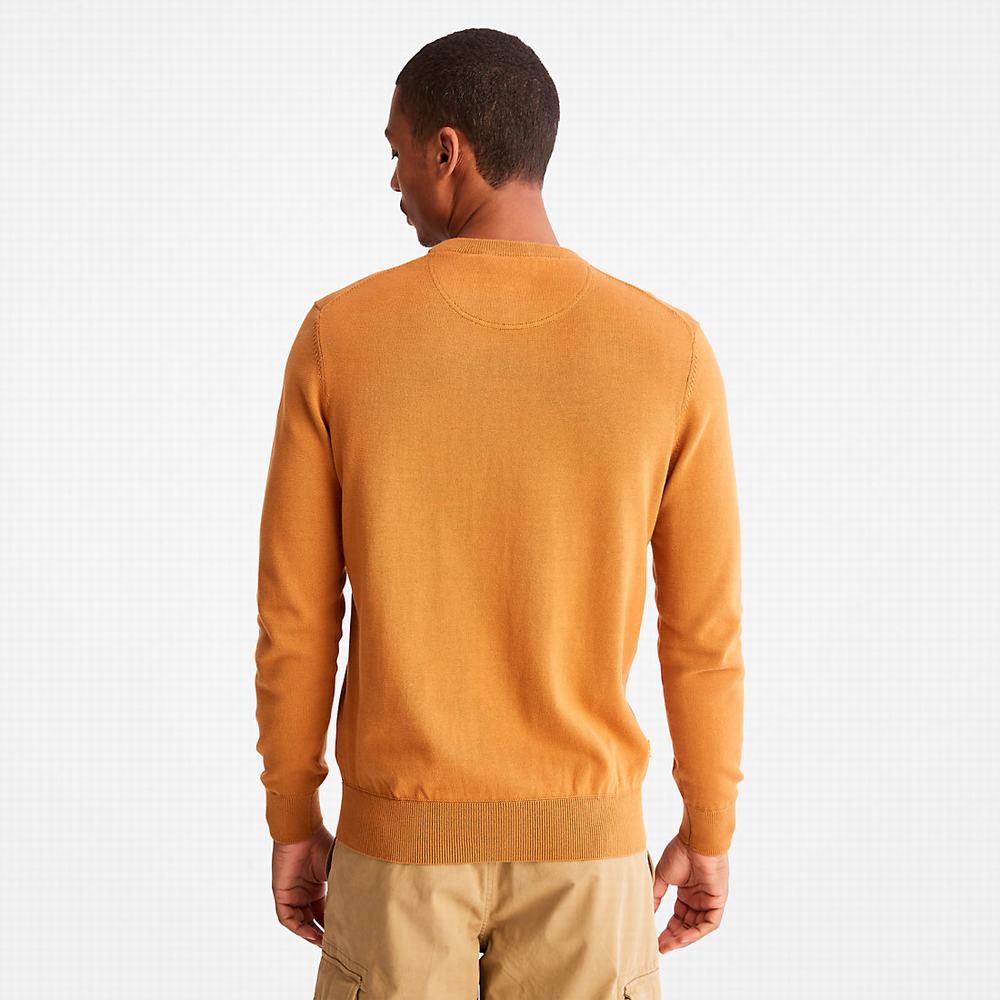 Timberland Williams River Organic Pamuklu Kazak Erkek Sarı | TR-0342J