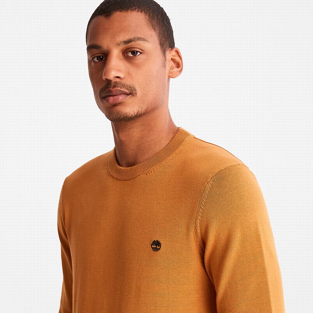 Timberland Williams River Organic Pamuklu Kazak Erkek Sarı | TR-0342J
