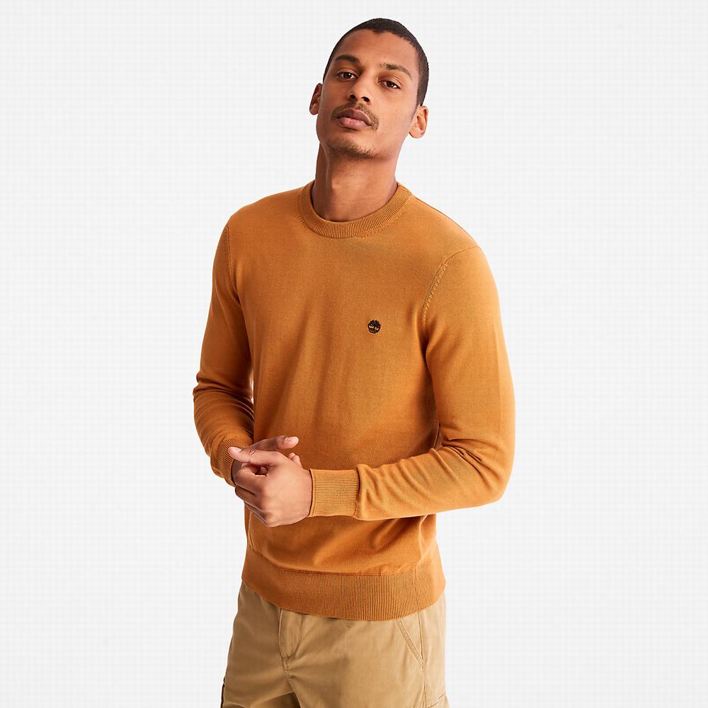 Timberland Williams River Organic Pamuklu Kazak Erkek Sarı | TR-0342J