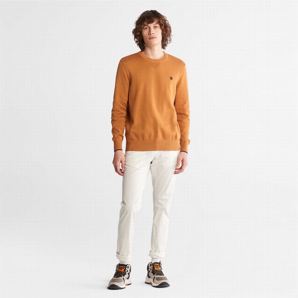 Timberland Williams River Organic Pamuklu Kazak Erkek Sarı | TR-3942N