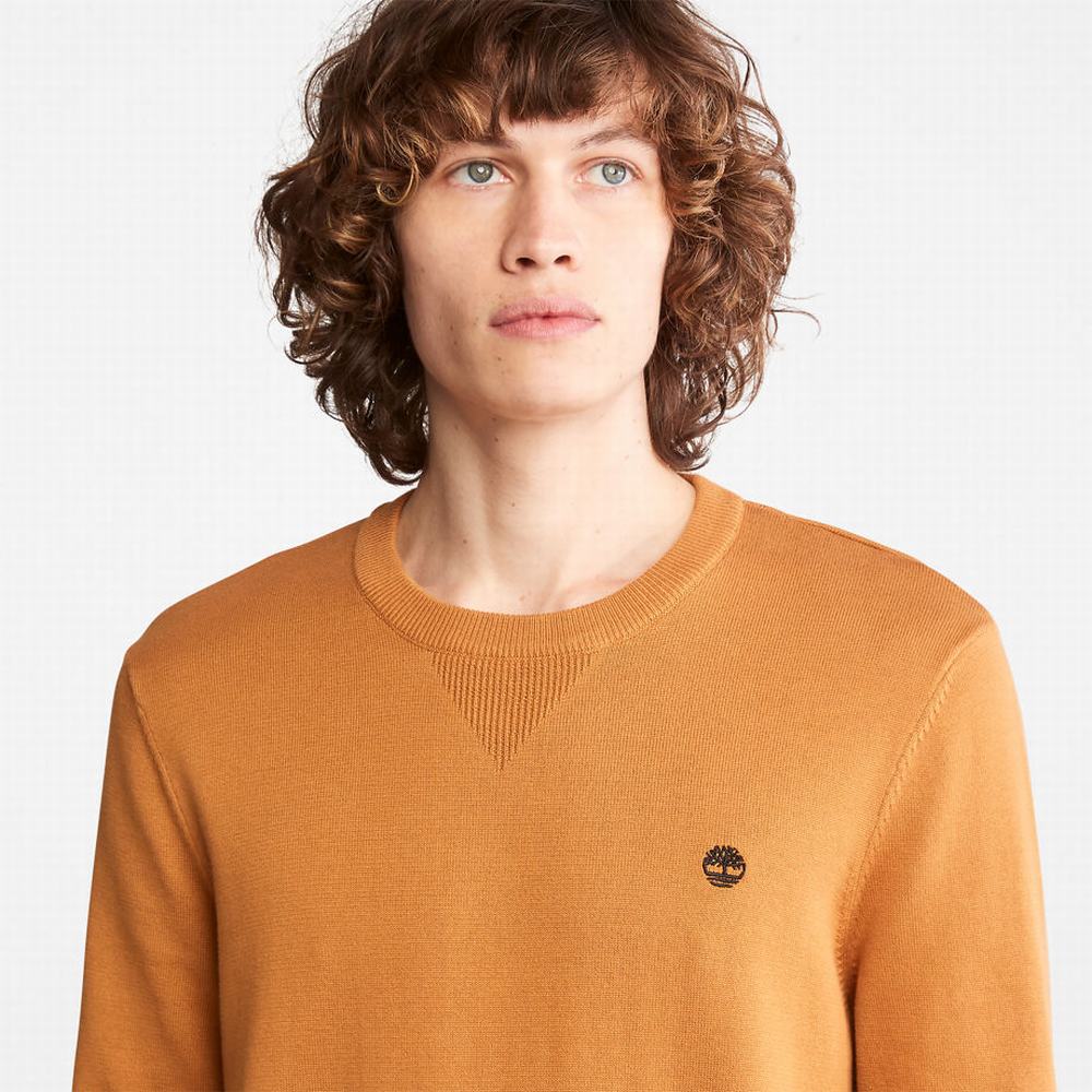 Timberland Williams River Organic Pamuklu Kazak Erkek Sarı | TR-3942N